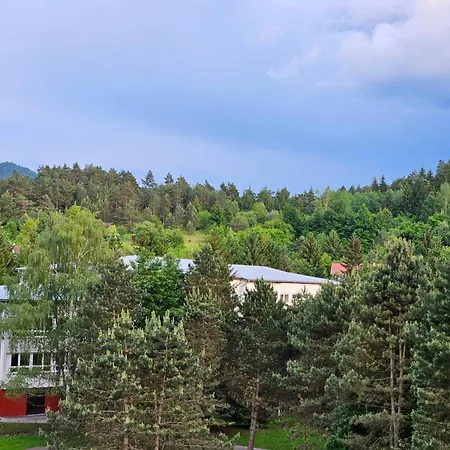 Wolf Luxusne Priestranne S Vyhladom Na Hory S Bezplatnym Parkovanim Velkou Smart Tv Rychlym Optickym Internetom Priamo V Pb Ticha Lokalita Vsetko Na Blizku Vhodne Pre Rodinu Skupinu Pracovne Cesty Aj Turistiku Plne Vybavena Kuchyn * Považská Bystrica