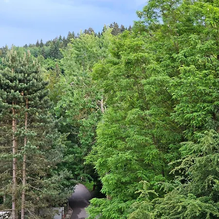 Wolf Luxusne Priestranne S Vyhladom Na Hory S Bezplatnym Parkovanim Velkou Smart Tv Rychlym Optickym Internetom Priamo V Pb Ticha Lokalita Vsetko Na Blizku Vhodne Pre Rodinu Skupinu Pracovne Cesty Aj Turistiku Plne Vybavena Kuchyn Považská Bystrica