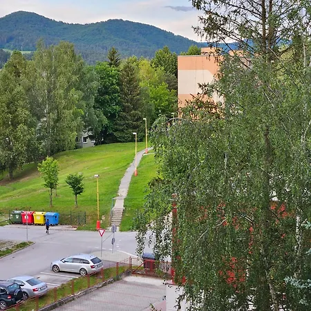 Wolf Luxusne Priestranne S Vyhladom Na Hory S Bezplatnym Parkovanim Velkou Smart Tv Rychlym Optickym Internetom Priamo V Pb Ticha Lokalita Vsetko Na Blizku Vhodne Pre Rodinu Skupinu Pracovne Cesty Aj Turistiku Plne Vybavena Kuchyn