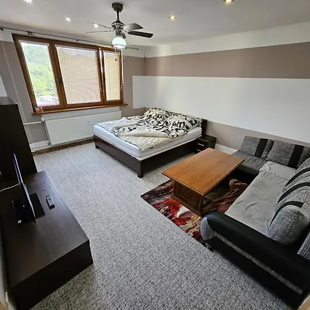 Apartment Wolf Luxusne Priestranne S Vyhladom Na Hory S Bezplatnym Parkovanim Velkou Smart Tv Rychlym Optickym Internetom Priamo V Pb Ticha Lokalita Vsetko Na Blizku Vhodne Pre Rodinu Skupinu Pracovne Cesty Aj Turistiku Plne Vybavena Kuchyn Považská Bystrica