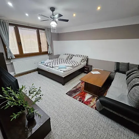 Wolf Luxusne Priestranne S Vyhladom Na Hory S Bezplatnym Parkovanim Velkou Smart Tv Rychlym Optickym Internetom Priamo V Pb Ticha Lokalita Vsetko Na Blizku Vhodne Pre Rodinu Skupinu Pracovne Cesty Aj Turistiku Plne Vybavena Kuchyn * Považská Bystrica