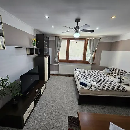 Апартаменты Wolf Luxusne Priestranne S Vyhladom Na Hory S Bezplatnym Parkovanim Velkou Smart Tv Rychlym Optickym Internetom Priamo V Pb Ticha Lokalita Vsetko Na Blizku Vhodne Pre Rodinu Skupinu Pracovne Cesty Aj Turistiku Plne Vybavena Kuchyn Поважска-Бистрица