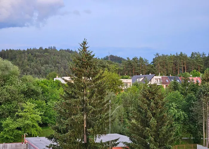 Wolf Luxusne Priestranne S Vyhladom Na Hory S Bezplatnym Parkovanim Velkou Smart Tv Rychlym Optickym Internetom Priamo V Pb Ticha Lokalita Vsetko Na Blizku Vhodne Pre Rodinu Skupinu Pracovne Cesty Aj Turistiku Plne Vybavena Kuchyn Lägenhet *