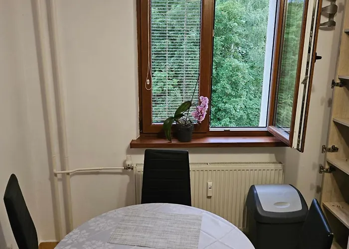 Wolf Luxusne Priestranne S Vyhladom Na Hory S Bezplatnym Parkovanim Velkou Smart Tv Rychlym Optickym Internetom Priamo V Pb Ticha Lokalita Vsetko Na Blizku Vhodne Pre Rodinu Skupinu Pracovne Cesty Aj Turistiku Plne Vybavena Kuchyn Lägenhet *