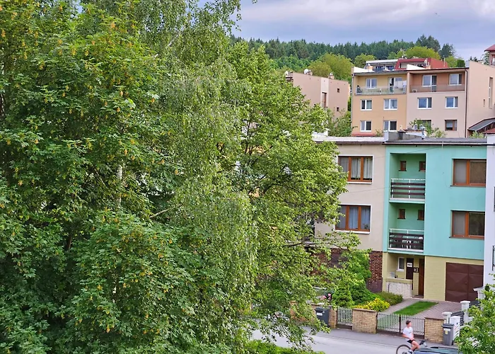 Wolf Luxusne Priestranne S Vyhladom Na Hory S Bezplatnym Parkovanim Velkou Smart Tv Rychlym Optickym Internetom Priamo V Pb Ticha Lokalita Vsetko Na Blizku Vhodne Pre Rodinu Skupinu Pracovne Cesty Aj Turistiku Plne Vybavena Kuchyn Lägenhet *