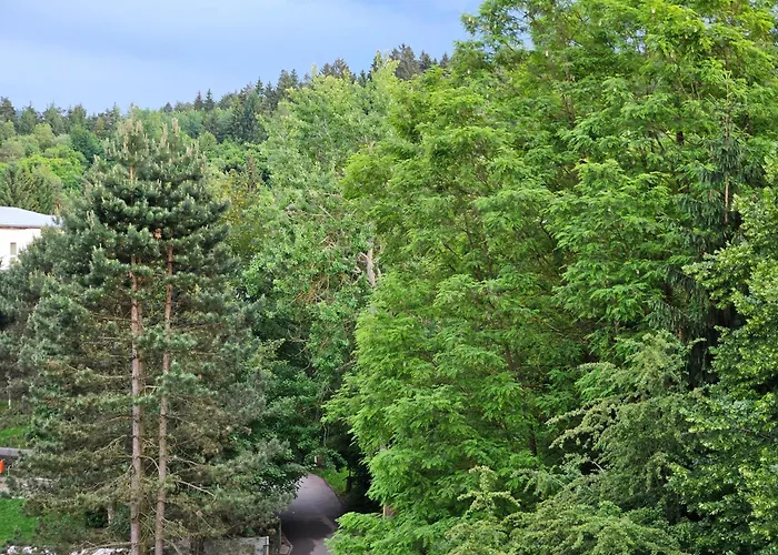 Wolf Luxusne Priestranne S Vyhladom Na Hory S Bezplatnym Parkovanim Velkou Smart Tv Rychlym Optickym Internetom Priamo V Pb Ticha Lokalita Vsetko Na Blizku Vhodne Pre Rodinu Skupinu Pracovne Cesty Aj Turistiku Plne Vybavena Kuchyn Považská Bystrica