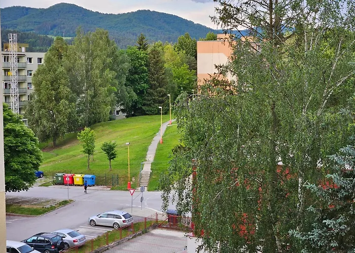 Wolf Luxusne Priestranne S Vyhladom Na Hory S Bezplatnym Parkovanim Velkou Smart Tv Rychlym Optickym Internetom Priamo V Pb Ticha Lokalita Vsetko Na Blizku Vhodne Pre Rodinu Skupinu Pracovne Cesty Aj Turistiku Plne Vybavena Kuchyn