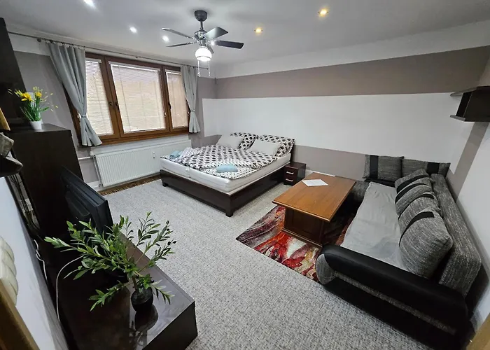 Wolf Luxusne Priestranne S Vyhladom Na Hory S Bezplatnym Parkovanim Velkou Smart Tv Rychlym Optickym Internetom Priamo V Pb Ticha Lokalita Vsetko Na Blizku Vhodne Pre Rodinu Skupinu Pracovne Cesty Aj Turistiku Plne Vybavena Kuchyn * Považská Bystrica